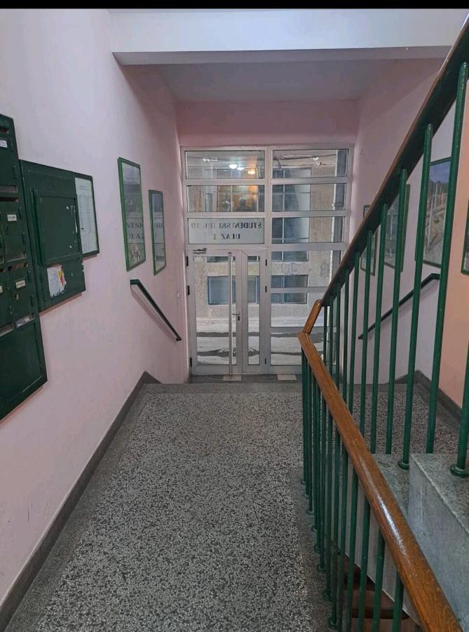 Apartman Milica 2023 Belgrado Esterno foto